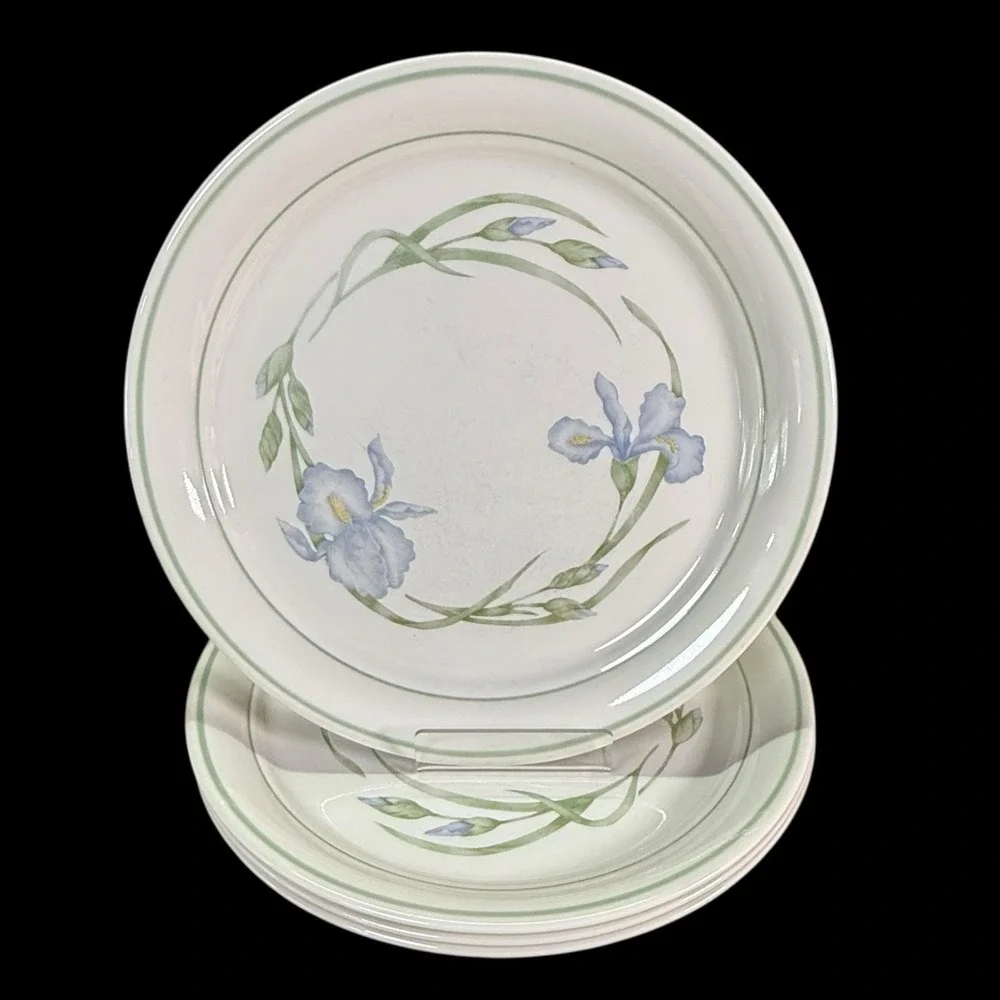 Corelle Cornerstone‎ IRIS Dinner Plates 10 1/4